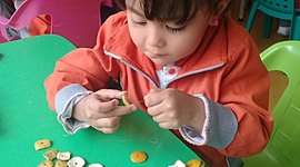 Timeline: historia del currículo