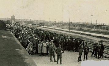 Evacuation of Auschwitz