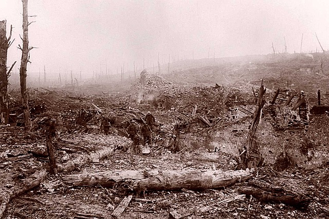 Slaget vid Somme 1 jul 1916 till 18 nov 1916