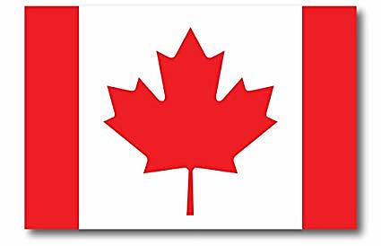 The New Flag Was Adopted