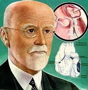 James Bryan Herrick -  Hechos Científicos