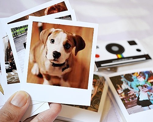 Recopilación de la Información