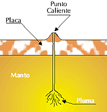 Jonh Tuzo Pluma de manto