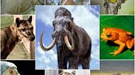 Timeline: 10 ESPECIES EXTINTAS EN LOS ÚLTIMOS AÑOS