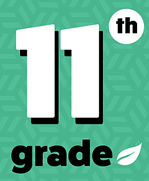 Junior Year - 11th Grade