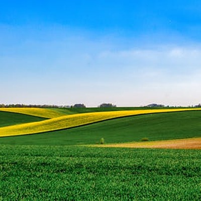 Timeline: Farm Bill Timeline