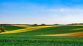 Timeline: Farm Bill Timeline