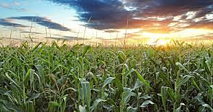 The Federal Agriculture Improvement and Reform Act of 1996