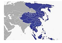 Jesuit missionaries arrive in the Far East.