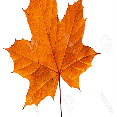 Timeline: My Timeline