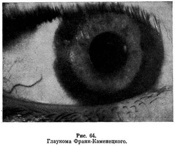 Профессиональные достижения