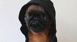 Timeline: La España del siglo XlX