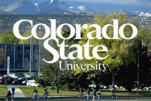CSU