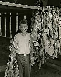 Calvin Coolidge Jr. Birth