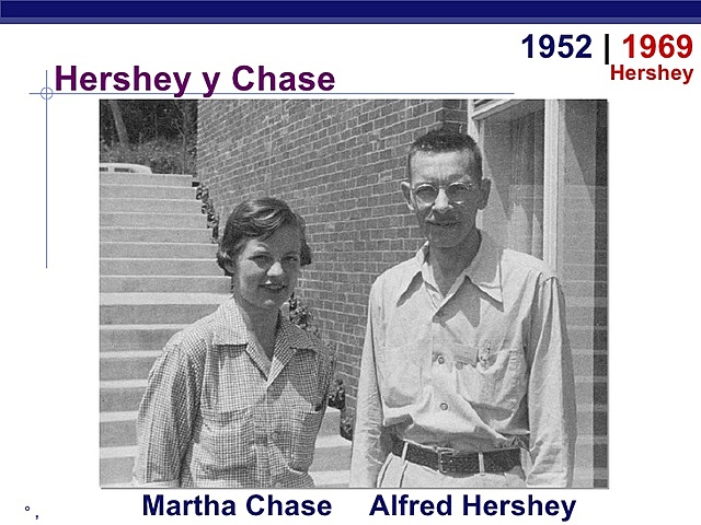 Chase + Hersey