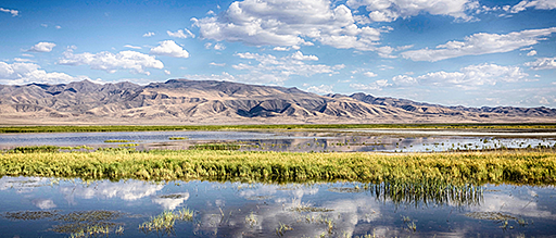 Fallon-Stillwater area