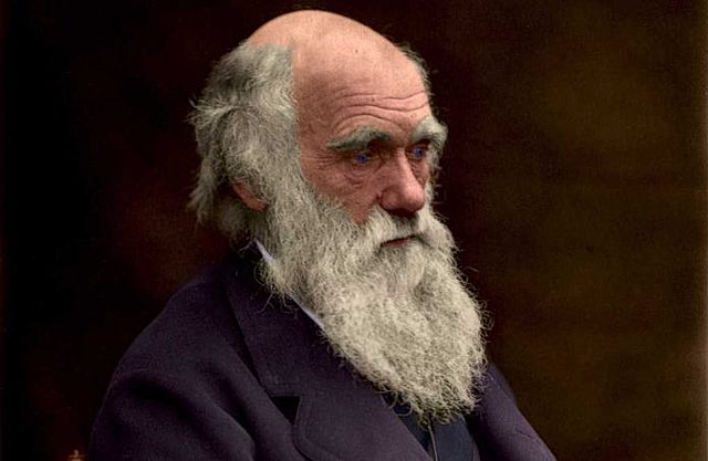 Aportes de la teoría de la evolución de Charles Darwin