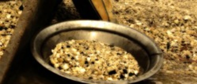 Colorado Silver "Boom"