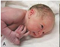 Día de nacimiento de ella