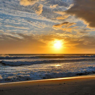 Timeline: My timeline