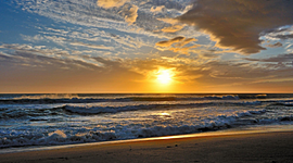 Timeline: My timeline