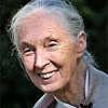 Jane Goodall