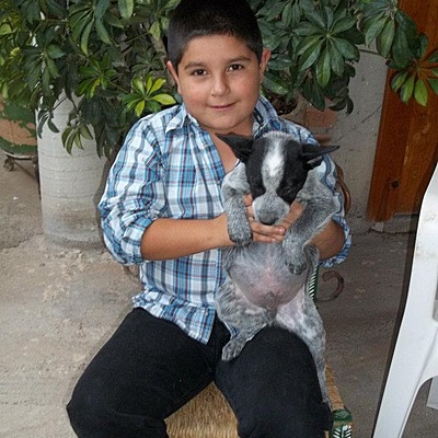 Timeline: Luis Ángel Olague García