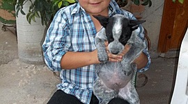 Timeline: Luis Ángel Olague García