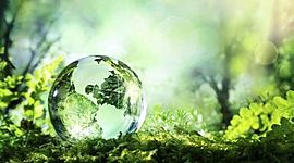 Timeline: HISTORIA DEL RECICLAJE.