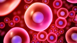 Timeline: LA CÉLULA