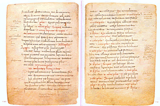 Glosas Silenses y Emilianenses.