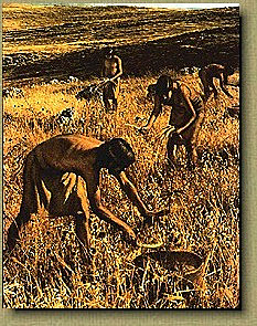 10.000 A.C. Aparece la agricultura y la ganadería