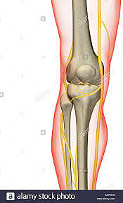 when I hurt my knee.