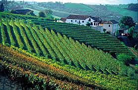 Unificación italiana primera fase