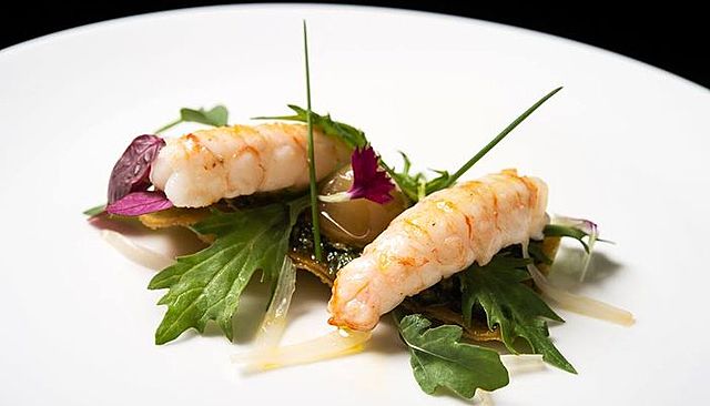 N.C.: Características.