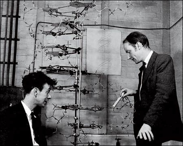 James Watson and Francis Crick