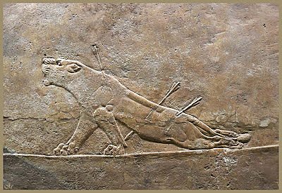 Bajorrelieve de Assurbanipal cazando leones (645 a.C.)