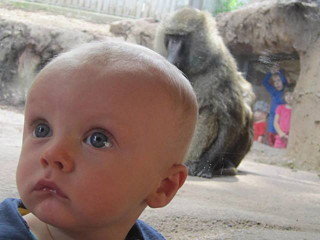 First Trip to Seneca Zoo