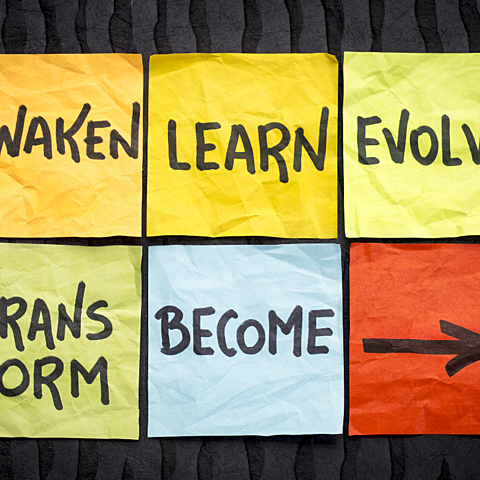 The Start of the Awakening and Awareness