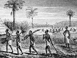 Organización social en la Edad Antigua. Esclavos