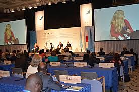 Conferencia Mundial sobre a Educación para o desenvolvemento sostible (Aichinayoga 2014)