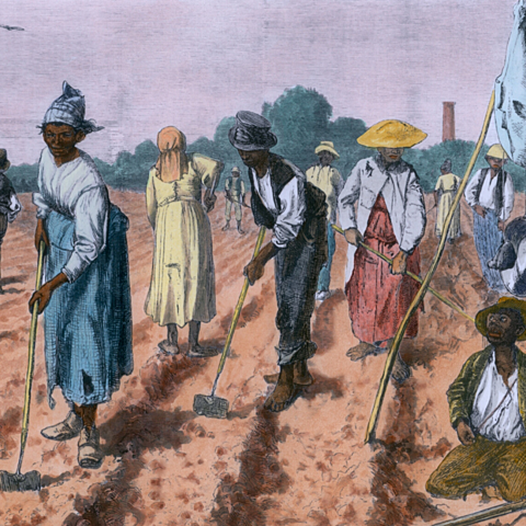 Jim Crow Laws Starting to Pop Up