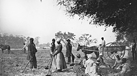 Timeline: Slavery in the South