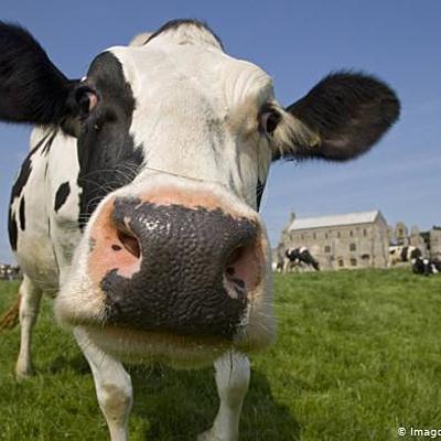 Timeline: Agricultural inventions during the industrial revolution