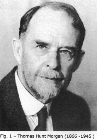 Thomas Hunt Morgan