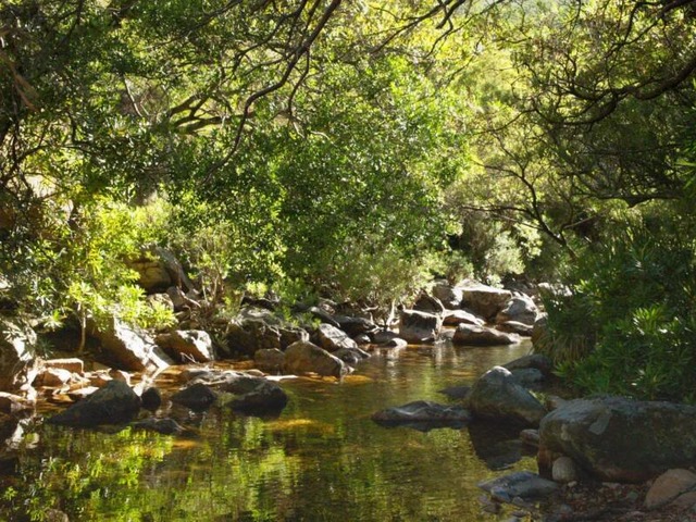 Land belonging to the Khoikhoi is given to Dutch farmers along the Eerste River in the Cape Colony