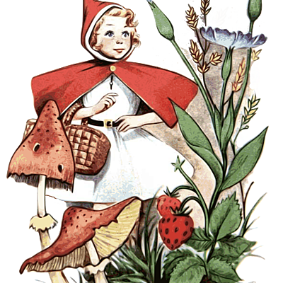 Timeline: Little Red Riding Hood Timeline