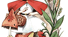 Timeline: Little Red Riding Hood Timeline