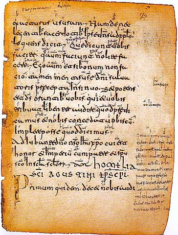 Las glosas silenses y emilianenses