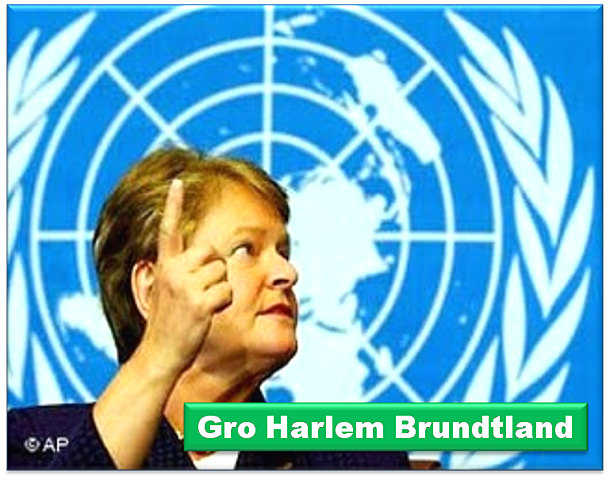 INFORME BRUNDTLAND (Comisión Mundial del Medio Ambiente y del Desarrollo o Comisión Brundland )